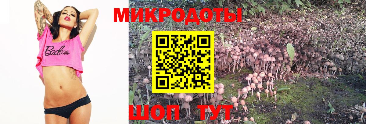 Магадан  Галлюциногенные грибы мицелий  Вход с VPN  Галлюциногенные грибы MAGIC MUSHROOMS 