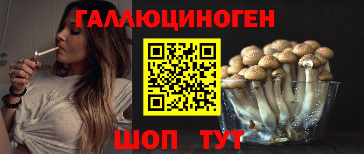 Псилоцибиновые грибы прущие грибы Магадан